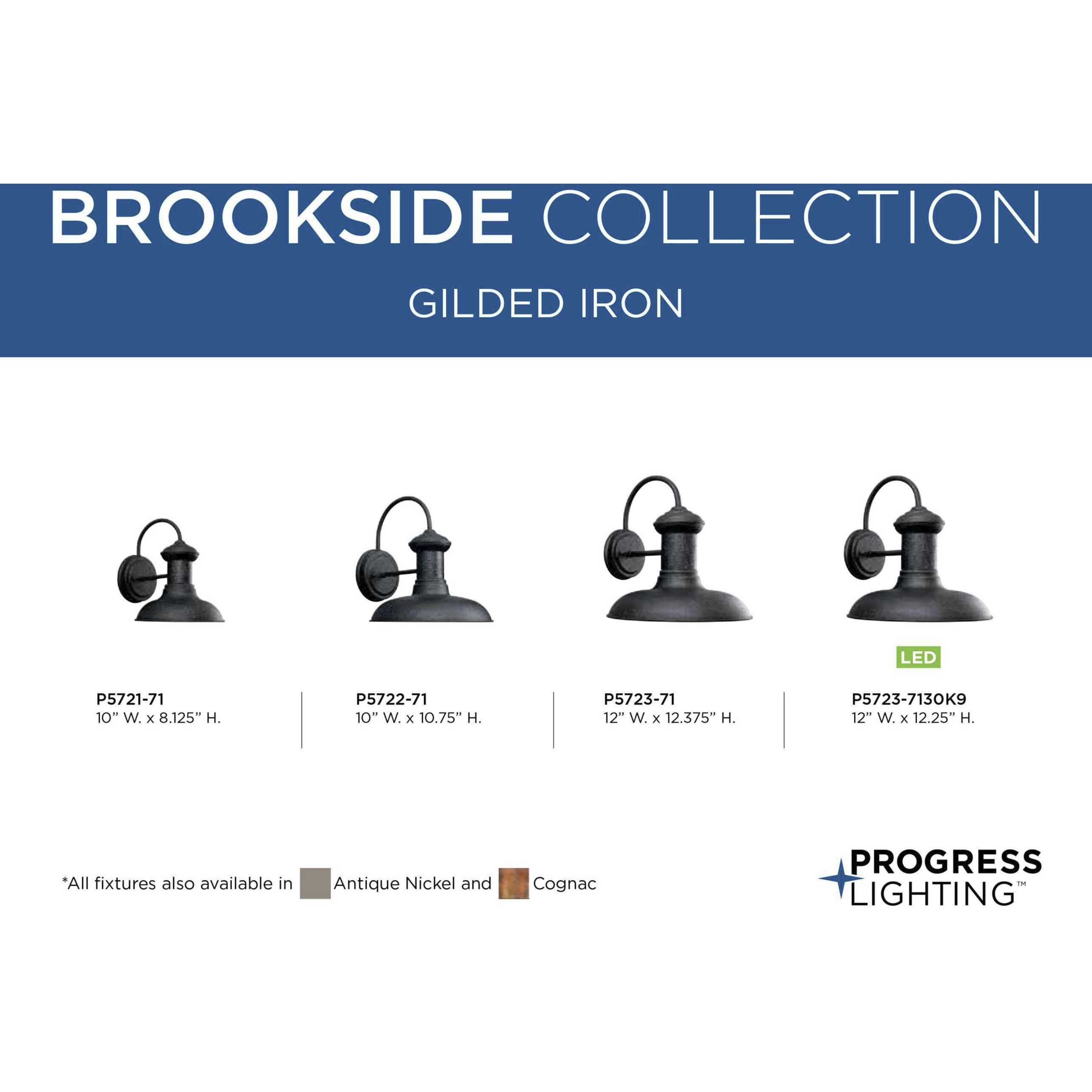 Brookside 1 Light 12 inch Gilded Iron Outdoor Wall Lantern in Standard, Large